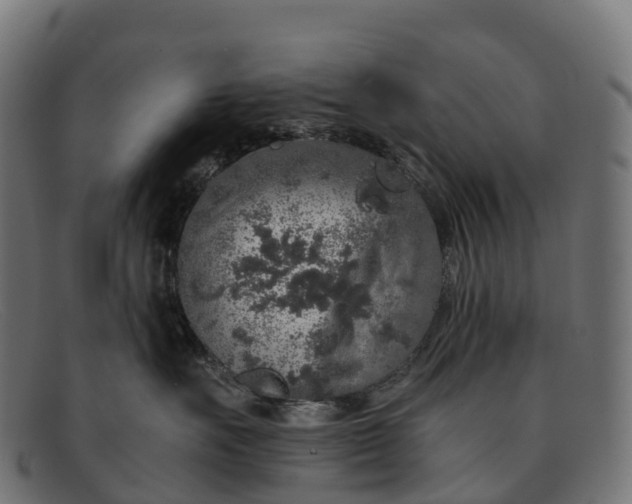 X0000091680527200709131550