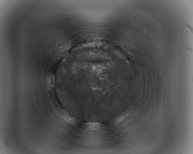 X0000091680528200709131550