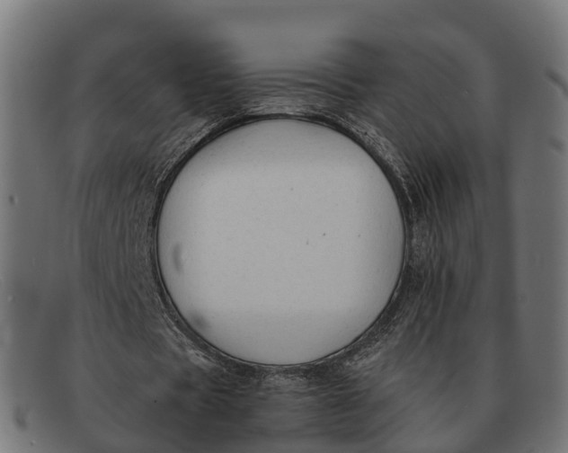 X0000091680529200709131549