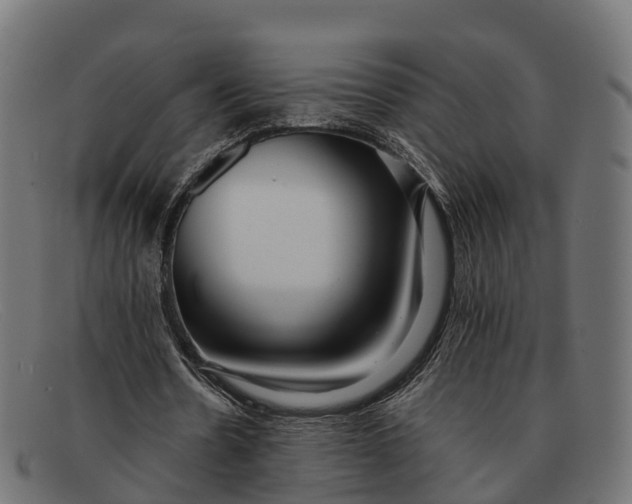 X0000091680530200709131549