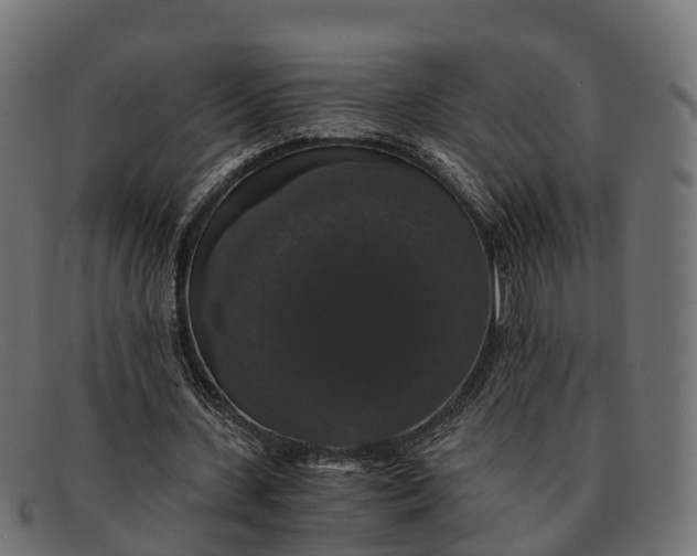 X0000091680531200709131549