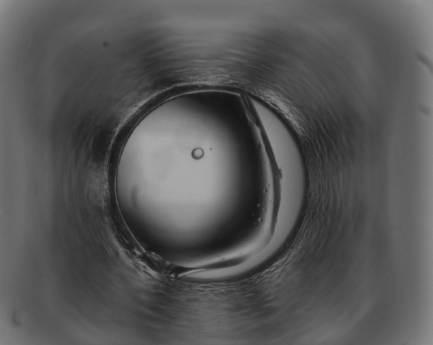 X0000091680532200709131549