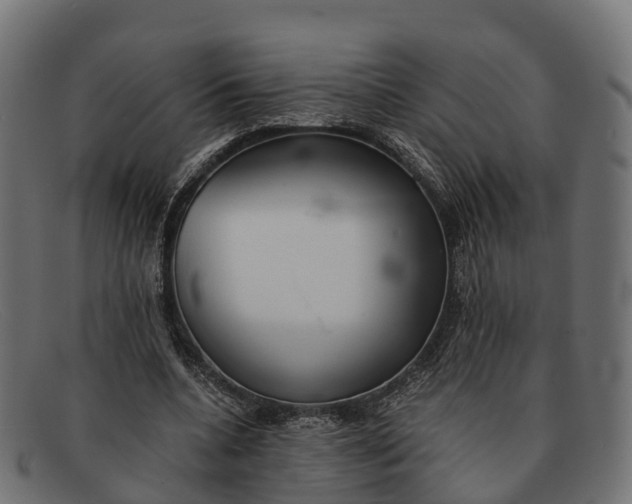 X0000091680536200709131549