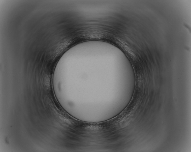 X0000091680537200709131549