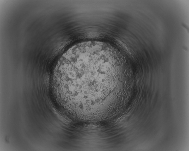 X0000091680542200709131549