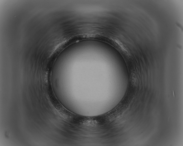 X0000091680543200709131549