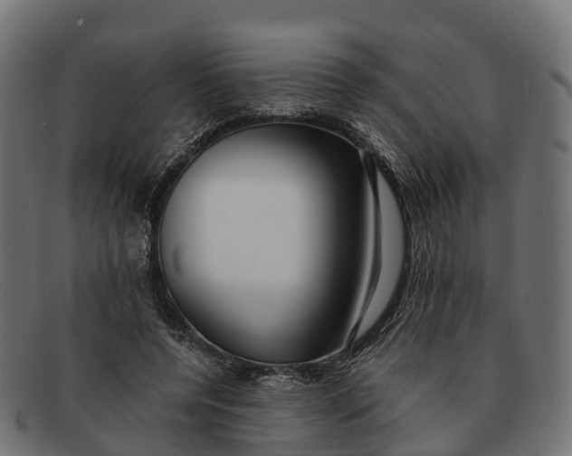 X0000091680544200709131549