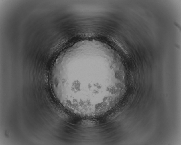 X0000091680545200709131549