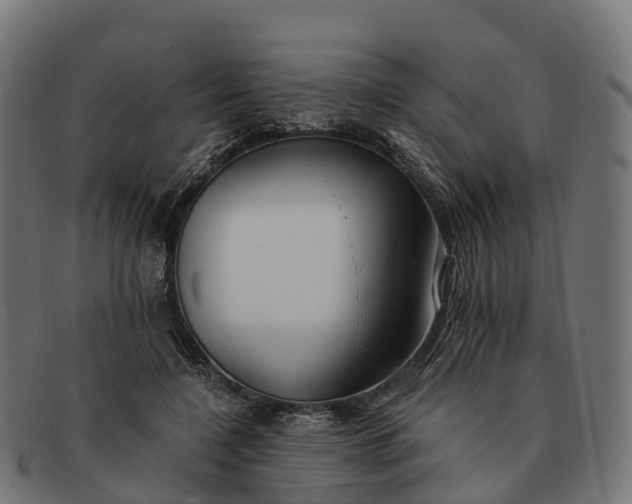 X0000091680548200709131549