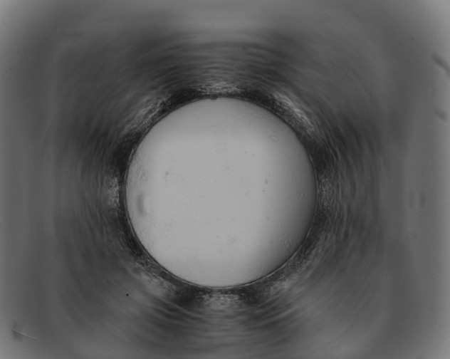 X0000091680549200709131549