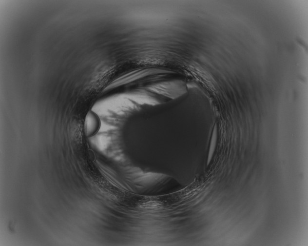 X0000091680551200709131549