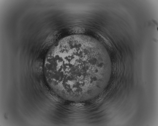 X0000091680553200709131549