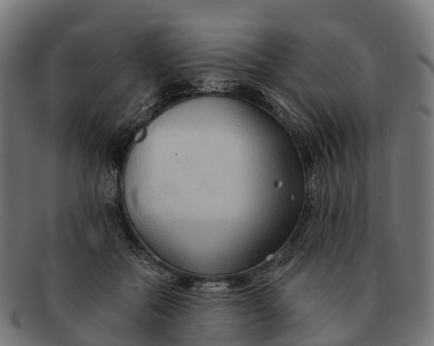 X0000091680554200709131549