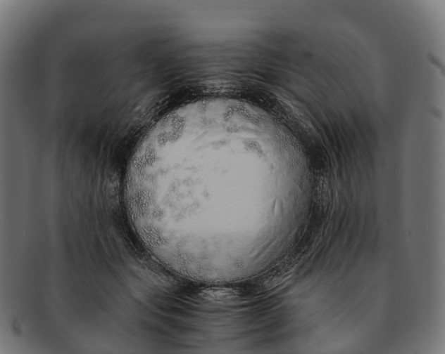 X0000091680557200709131549