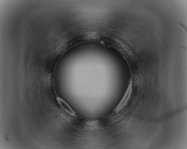 X0000091680560200709131550