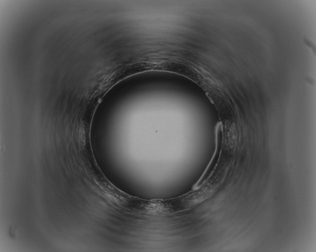 X0000091680562200709131550