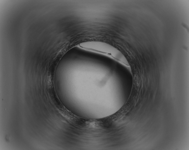 X0000091680564200709131550