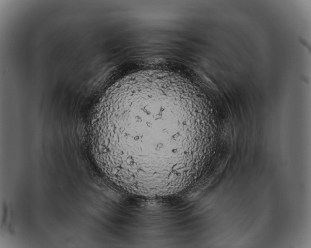 X0000091680565200709131550