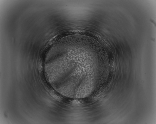 X0000091680566200709131550