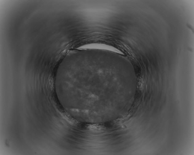 X0000091680568200709131550