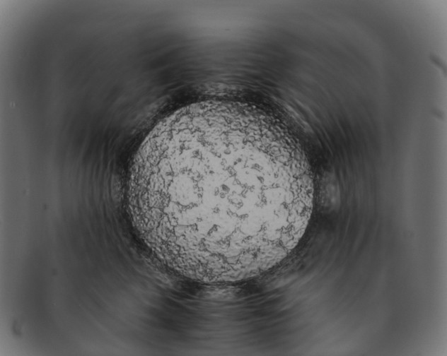 X0000091680569200709131550