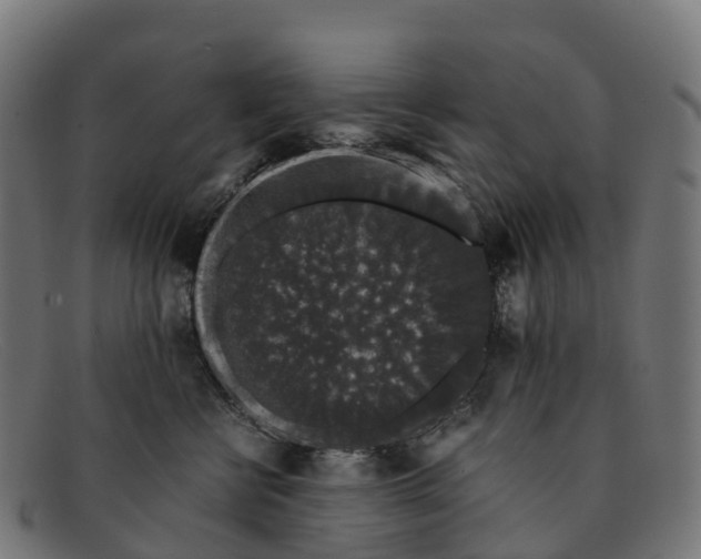 X0000091680570200709131550