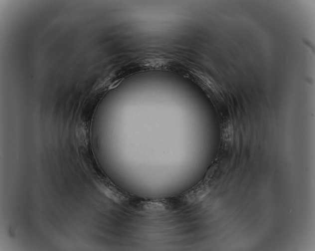 X0000091680572200709131550