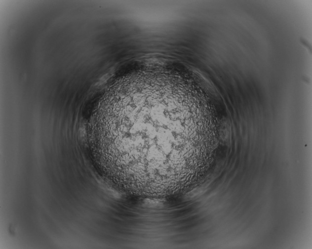 X0000091680573200709131550