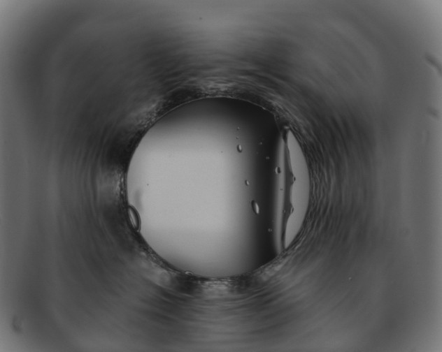 X0000091680574200709131550