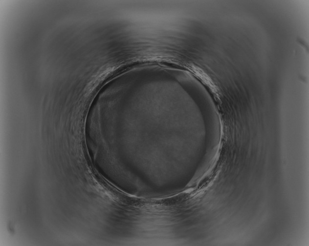 X0000091680577200709131549