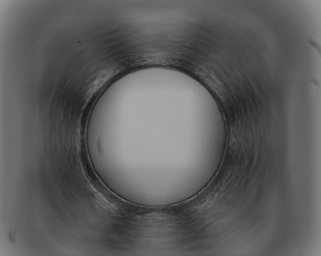 X0000091680578200709131549