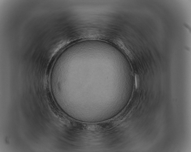 X0000091680579200709131549