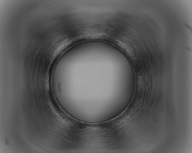 X0000091680582200709131549