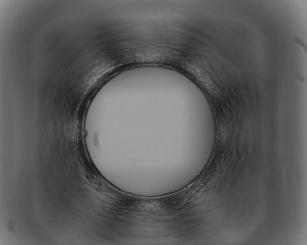 X0000091680583200709131549