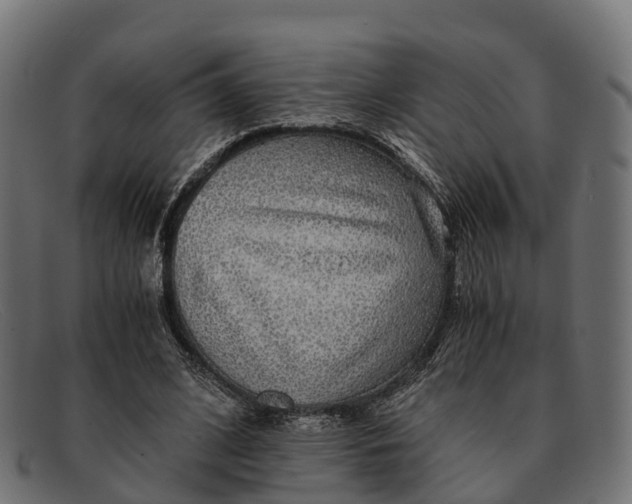 X0000091680584200709131549