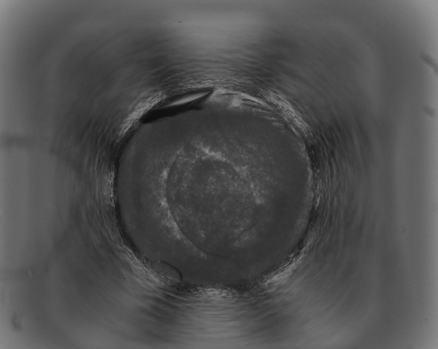 X0000091680585200709131549