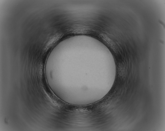 X0000091680586200709131549