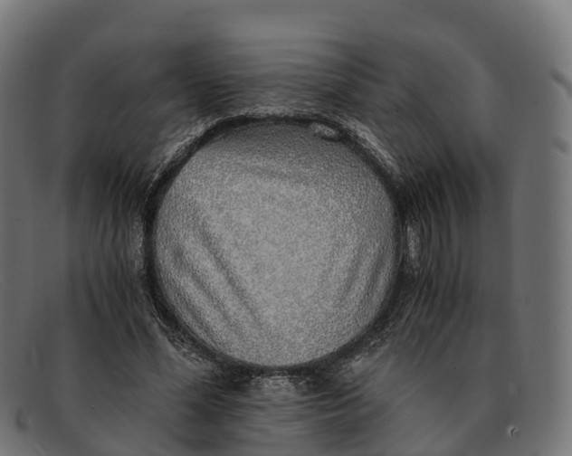 X0000091680588200709131549