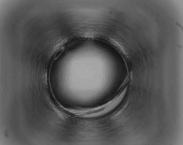 X0000091680589200709131549