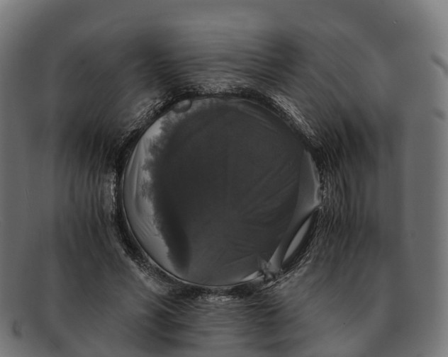 X0000091680590200709131549