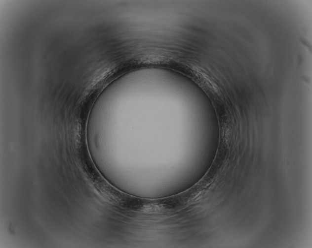 X0000091680591200709131549