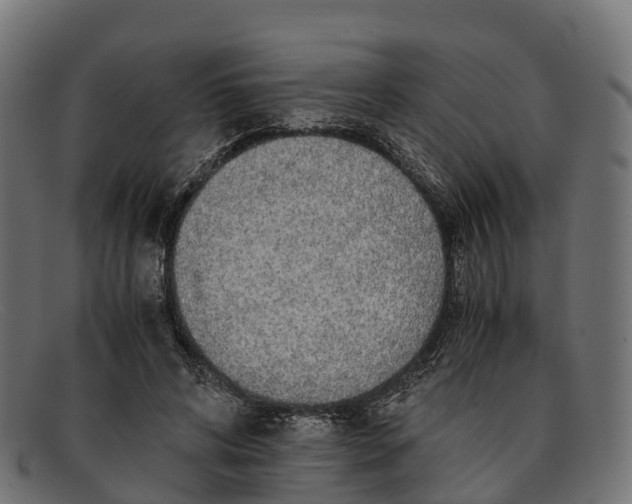 X0000091680592200709131549