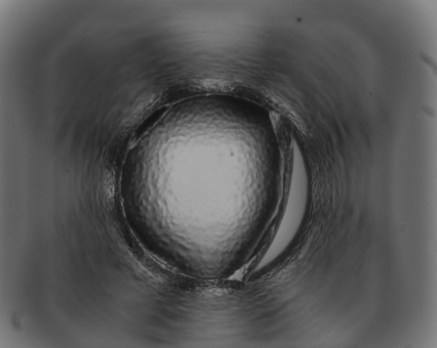 X0000091680593200709131549