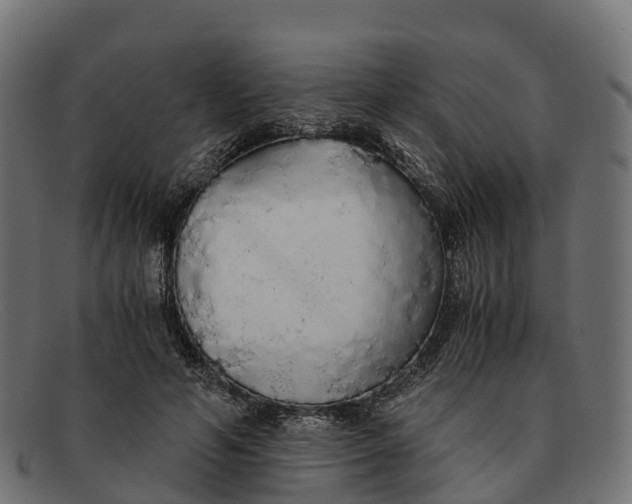 X0000091680594200709131549