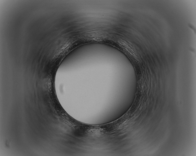 X0000091680595200709131549