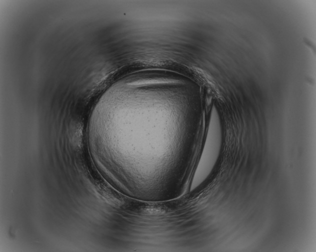 X0000091680596200709131549