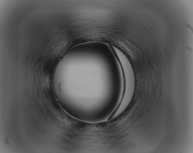 X0000091680597200709131549