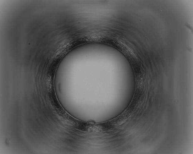 X0000091680599200709131549