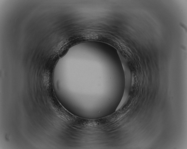 X0000091680600200709131549