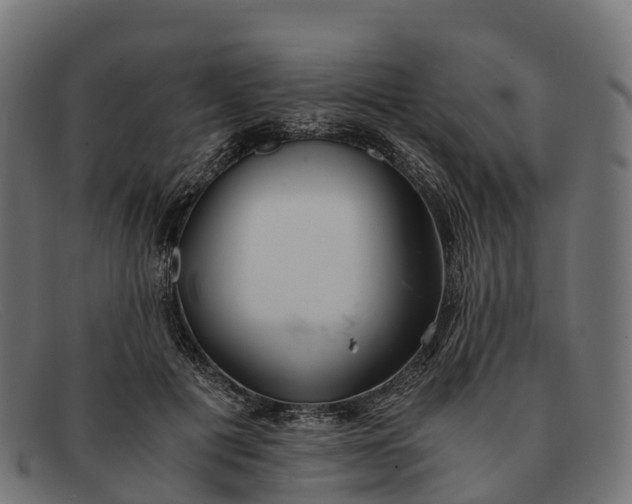 X0000091680601200709131549